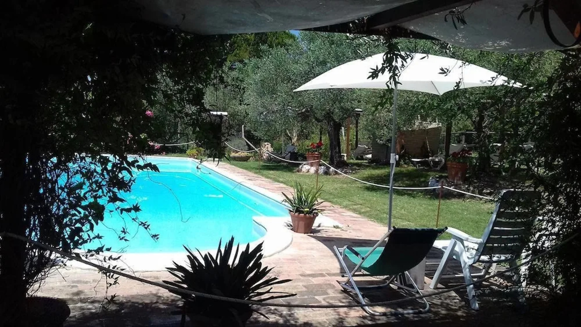 Il Grappolo e la Rosa