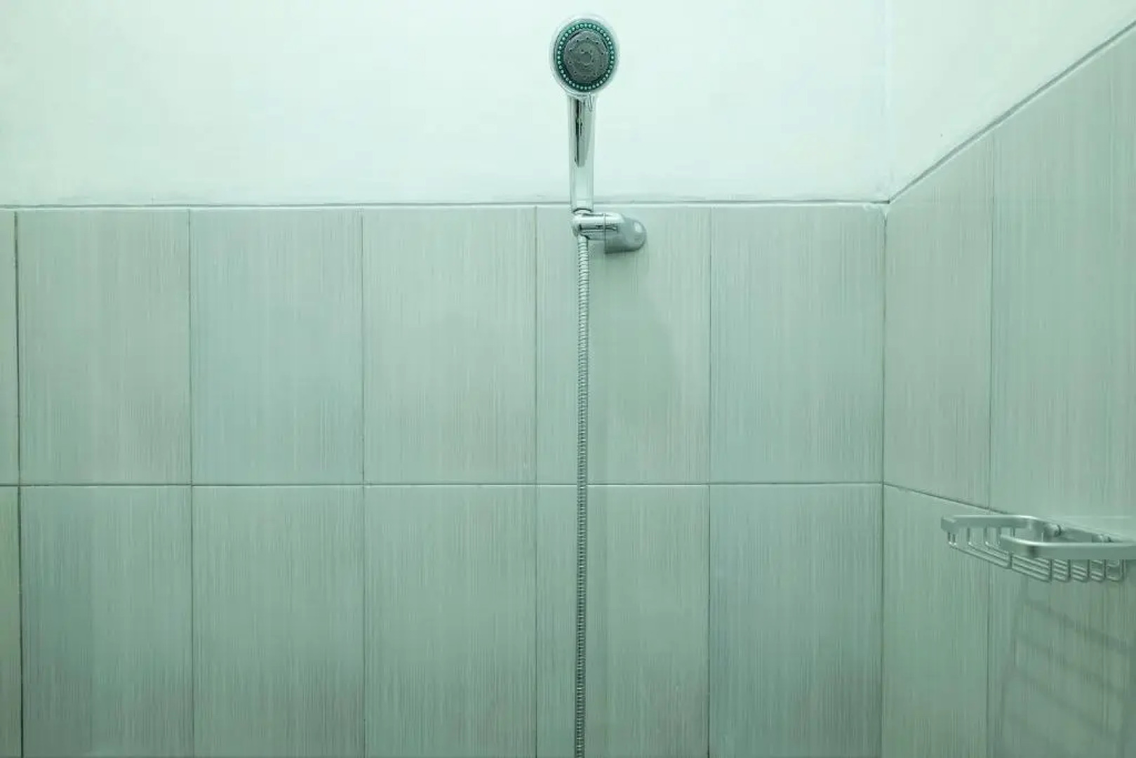 OYO Life 1889 Mbuahpage