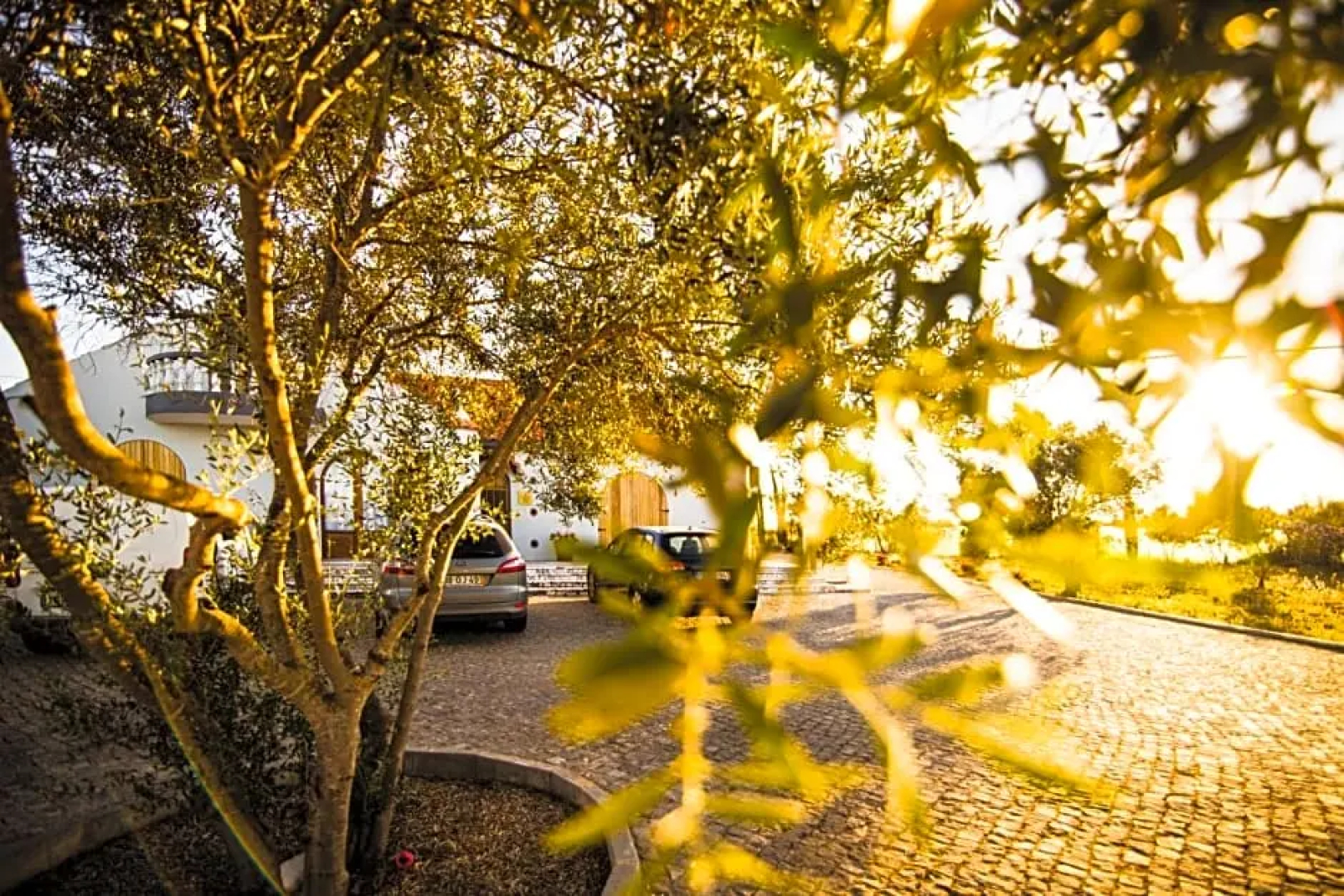 Vila Fuzeta