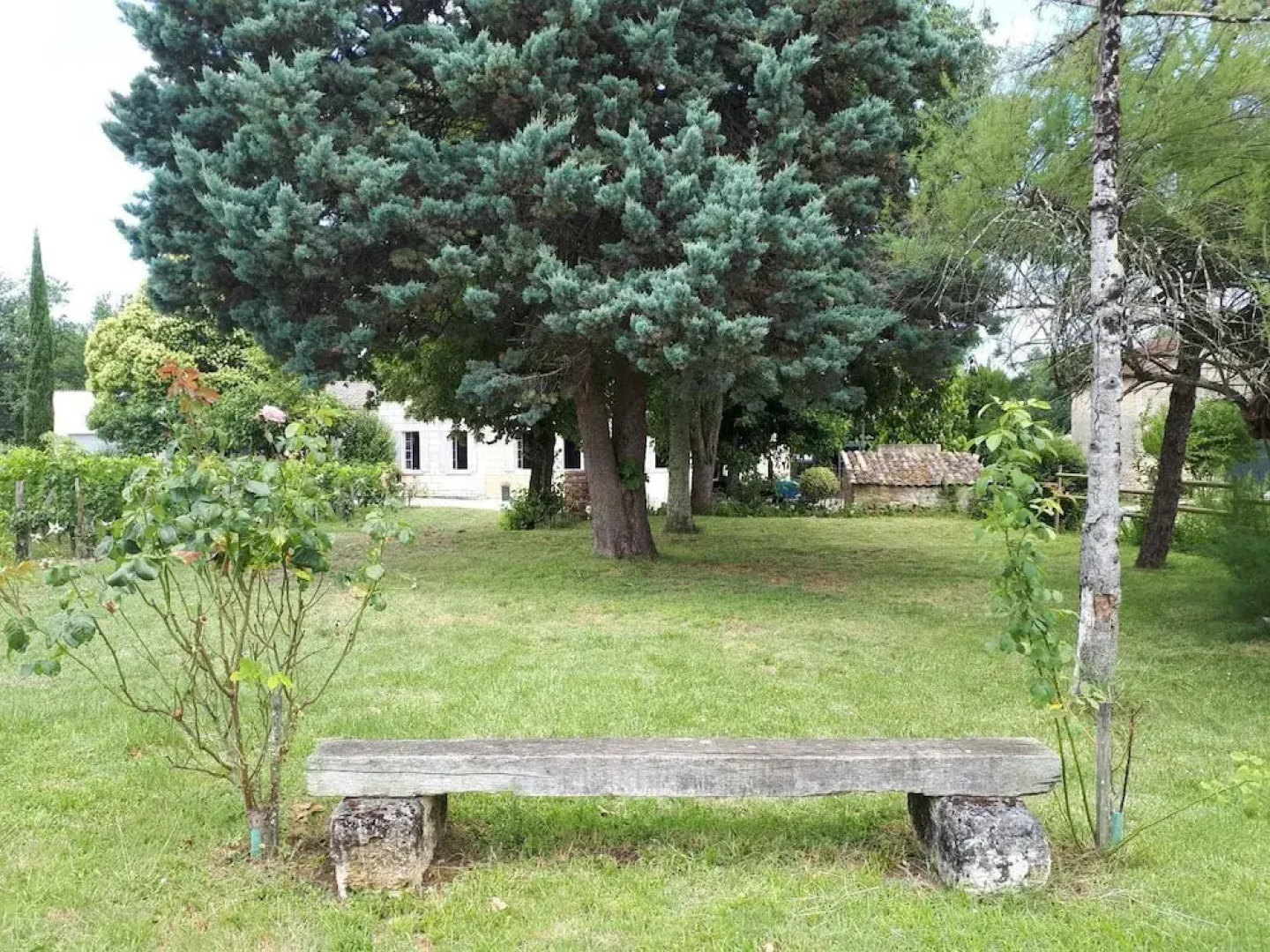 Château Vieux Mougnac