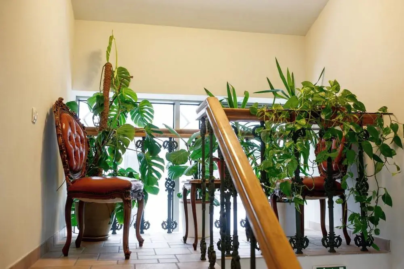 Friedrich Guesthouse