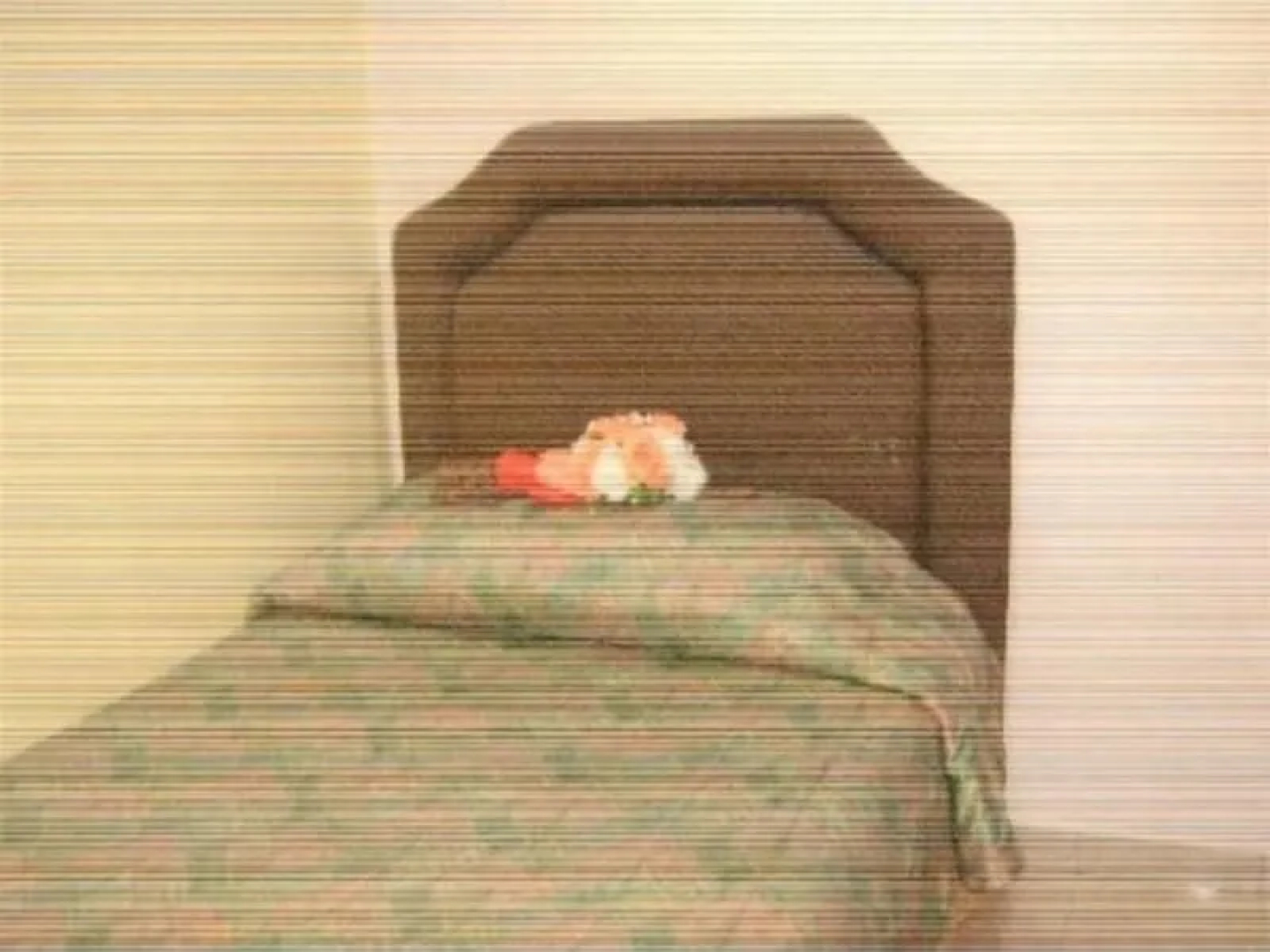 Hotel Sahara Batu Caves