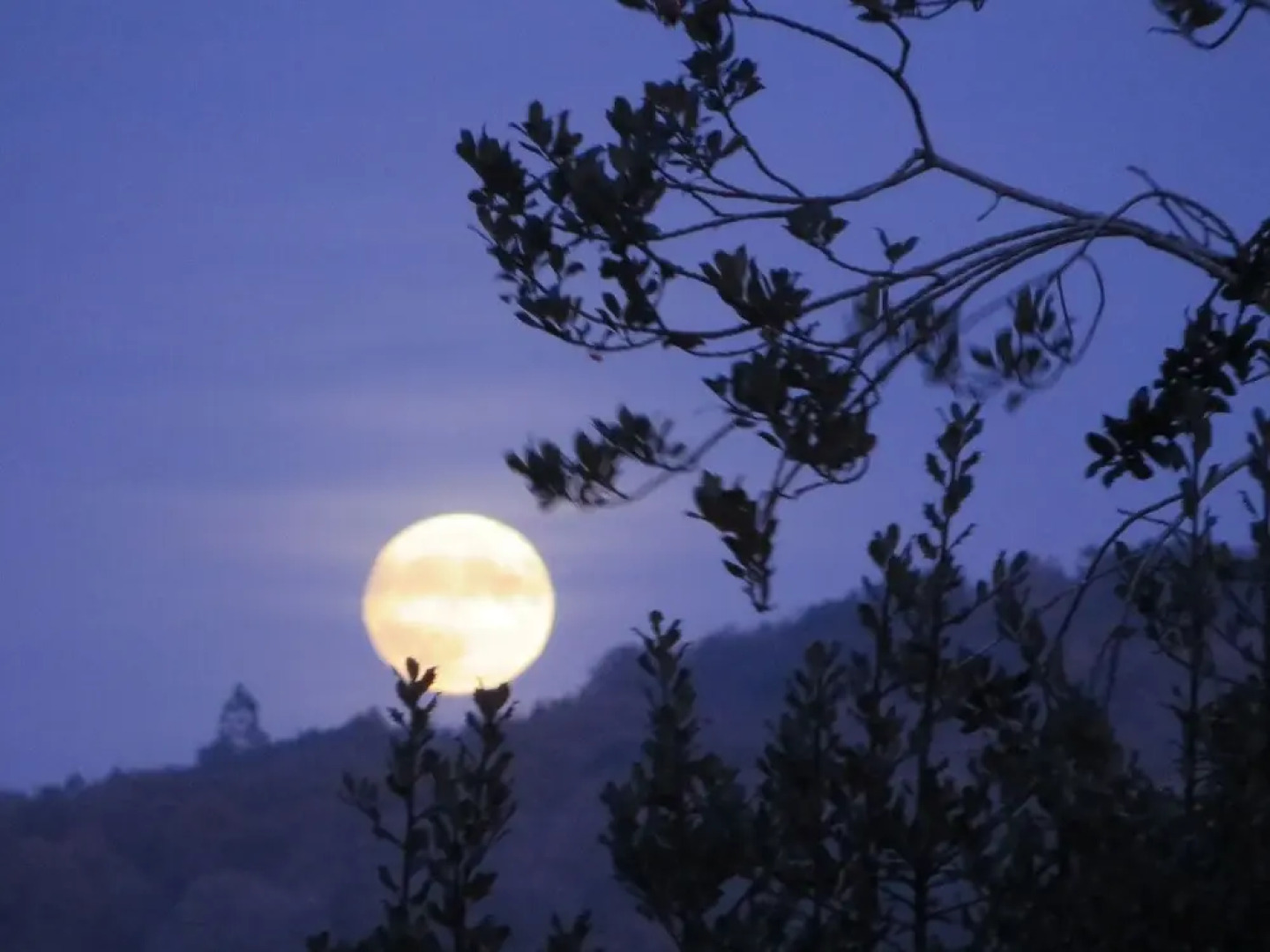 The 17th Century Hotel & Restaurant