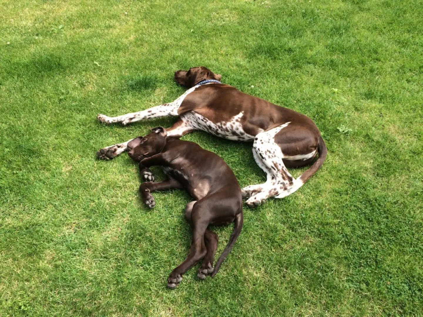 Aotearoa Southport Bed and Breakfast