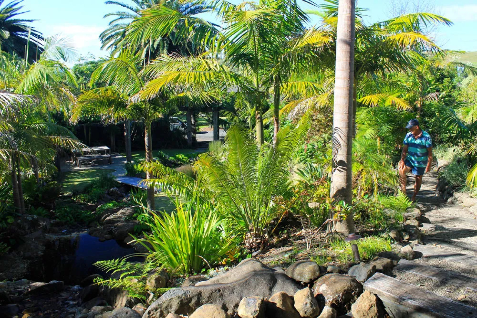 Sanctuary in the Cove