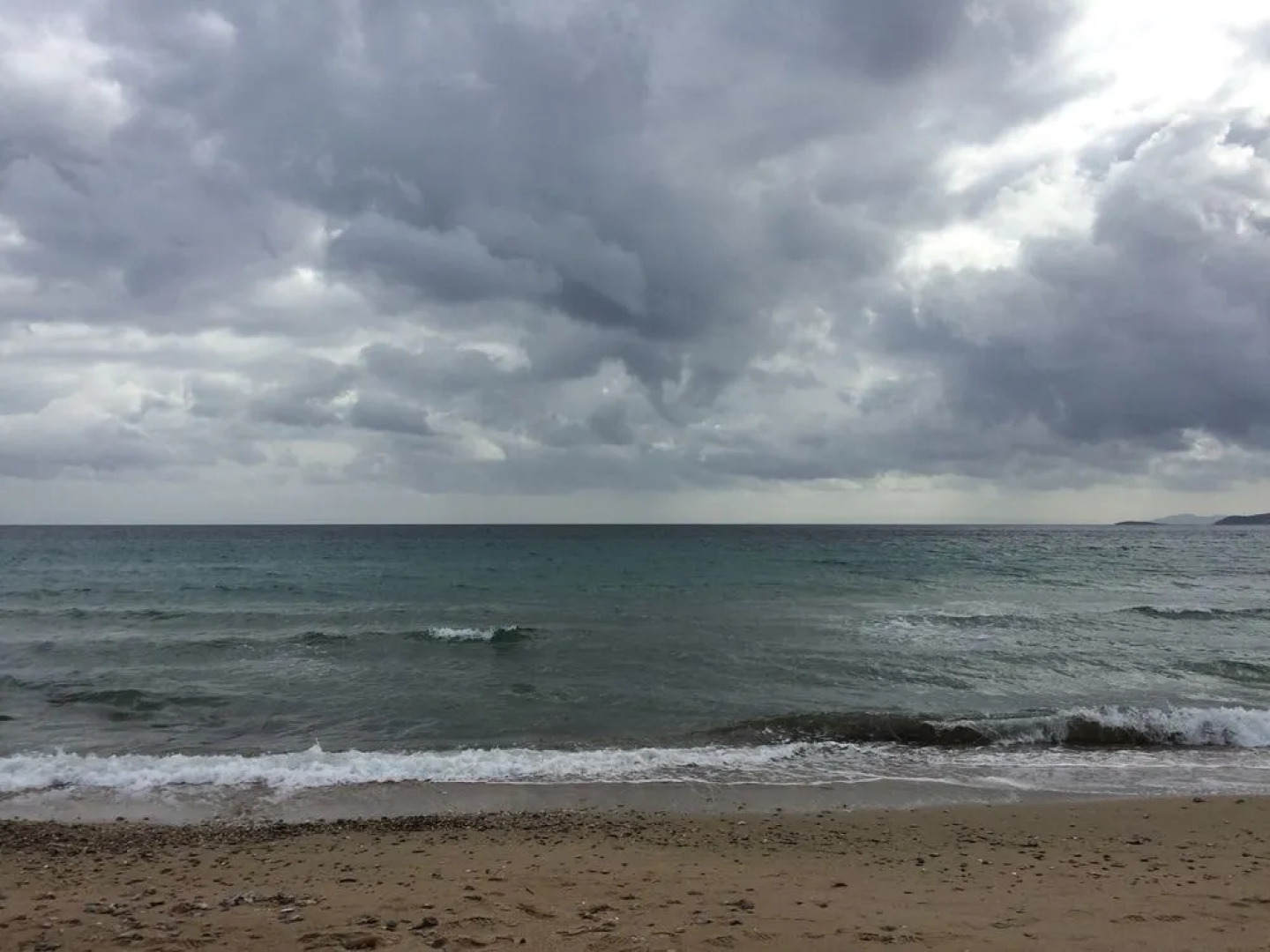 Beachfront Apartment Downtown