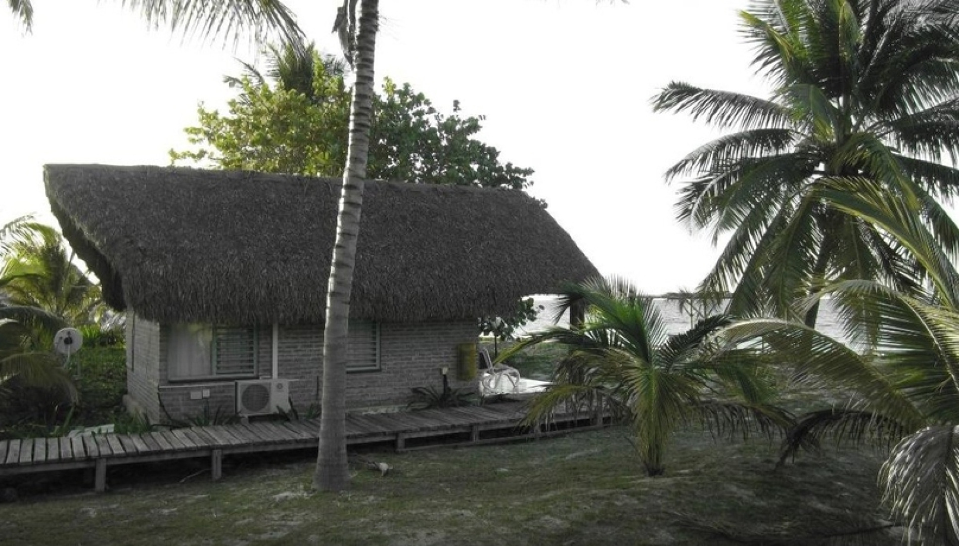 Horizontes Cayo Levisa