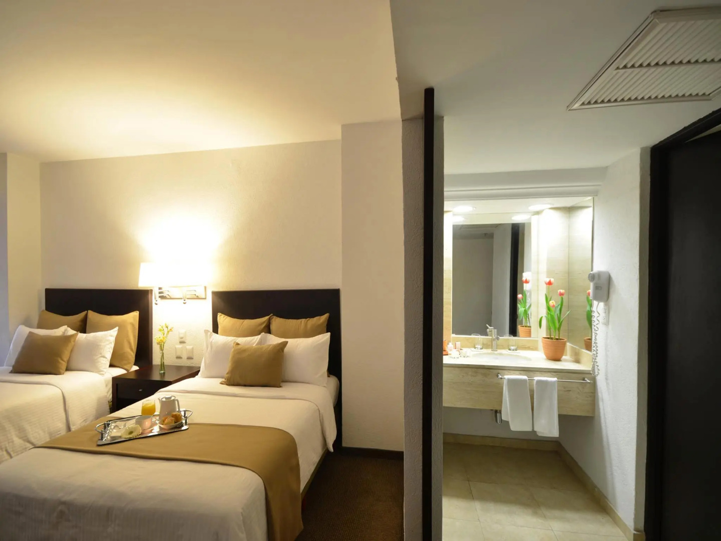 Hotel Misión Torreón