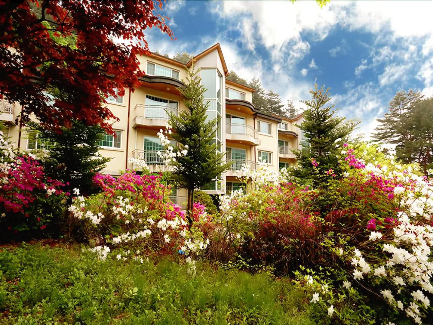 Pyeongchang Greenhill Resort