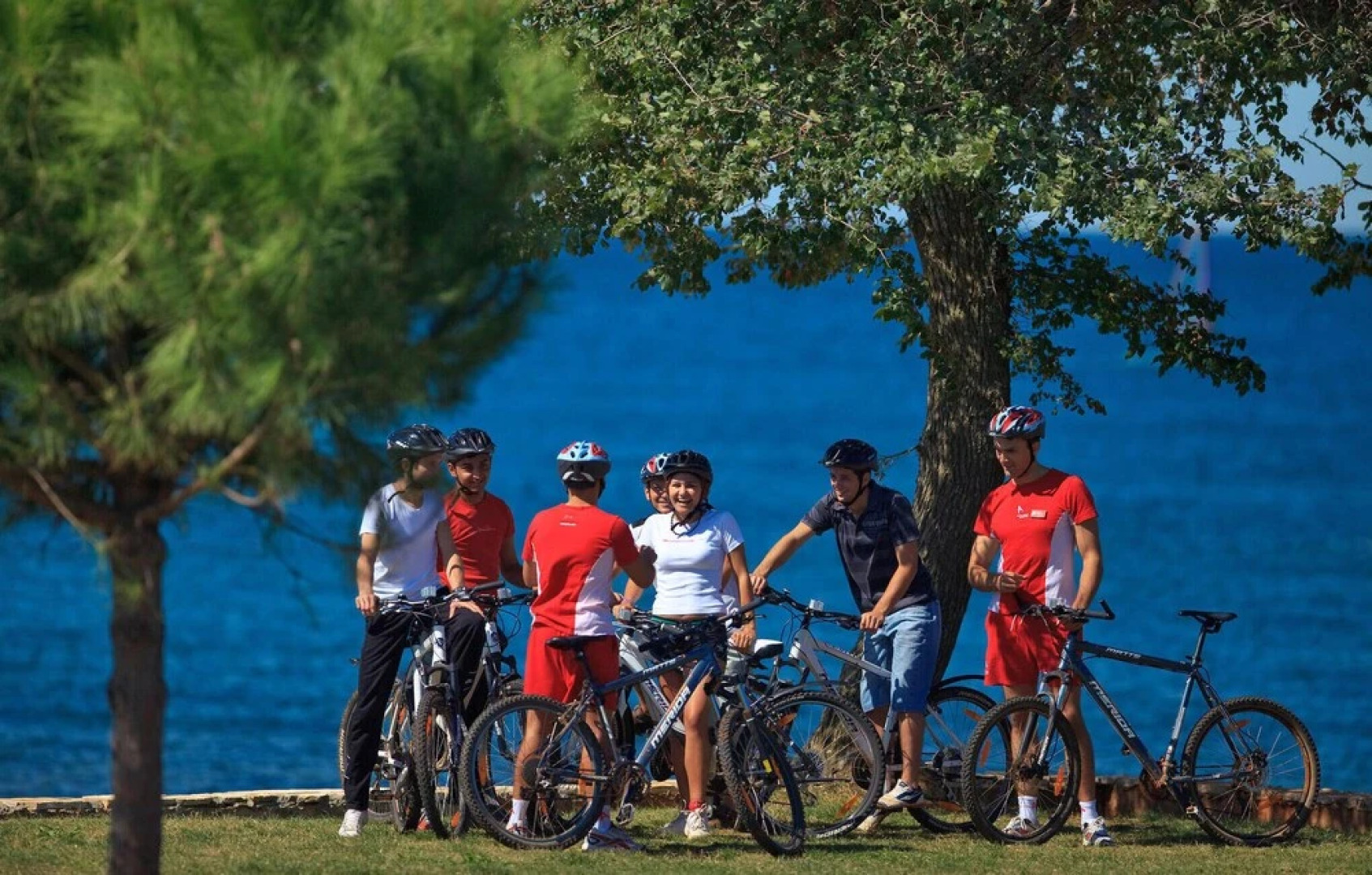 Nice Home in Buje With Wifi and 2 Bedrooms