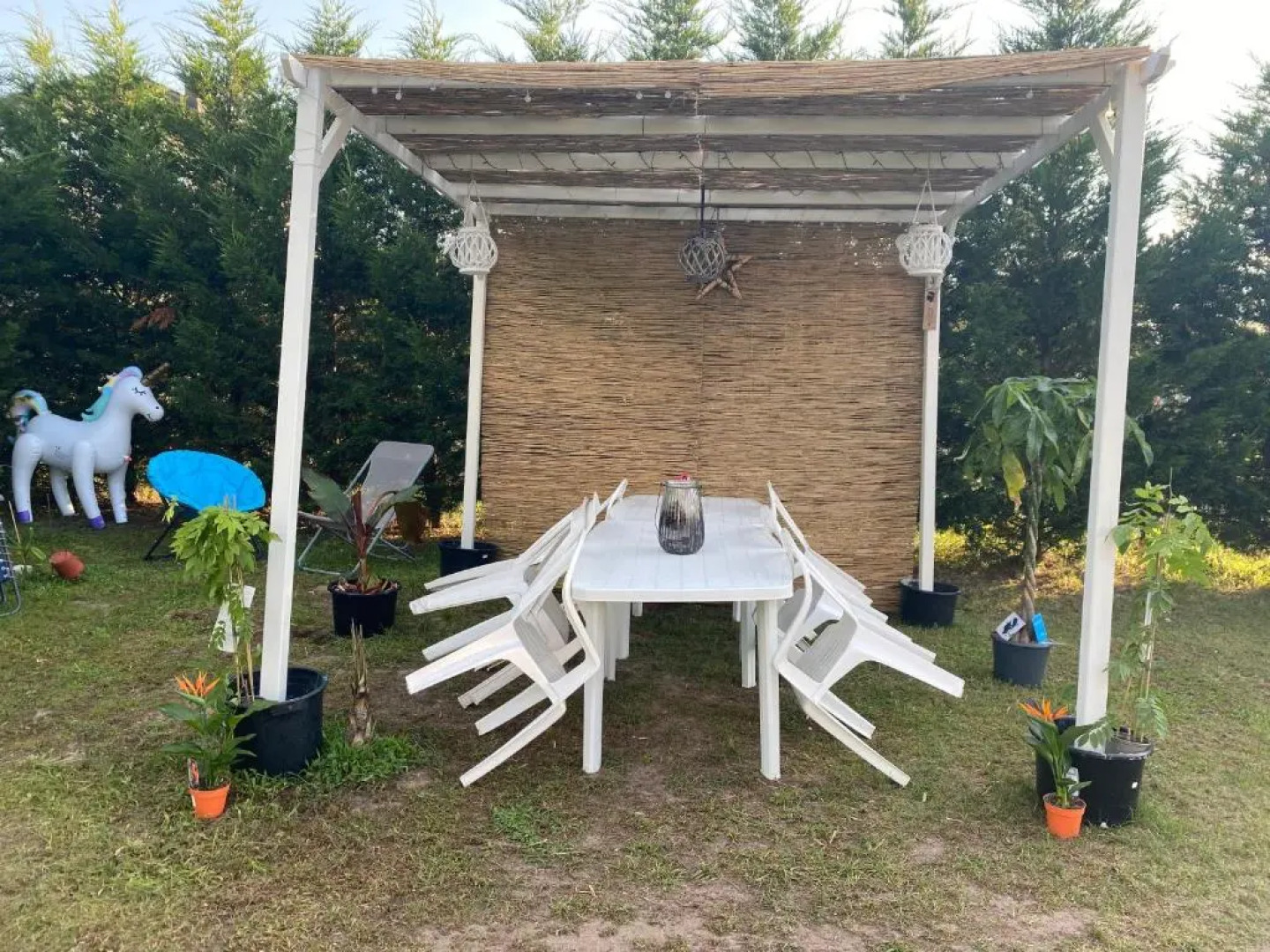 Au Paradis D’Alsace 55 M2 Nature & Relax