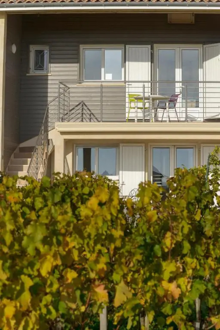 Les Raisins du Bonheur