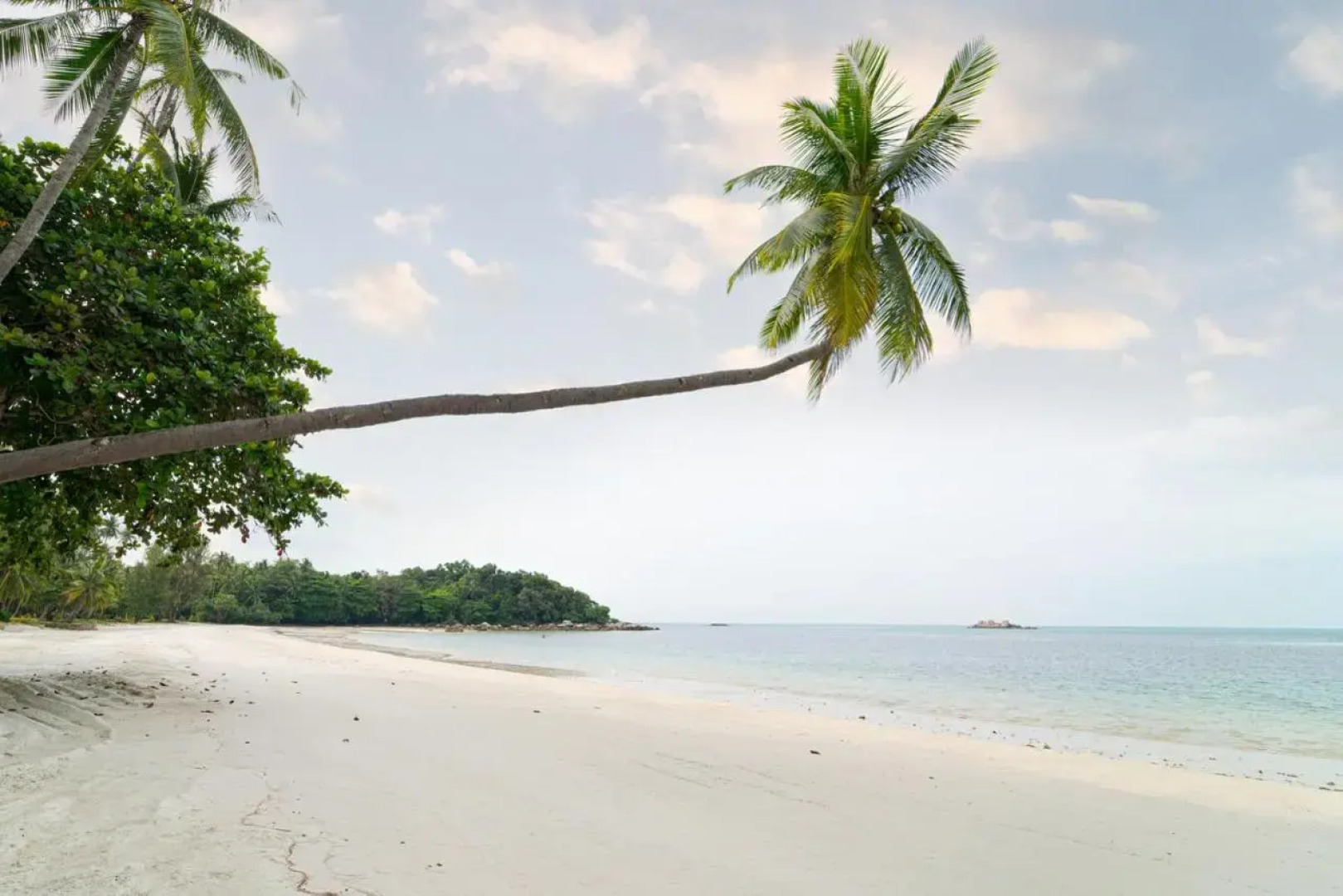 Nirwana Gardens - Indra Maya