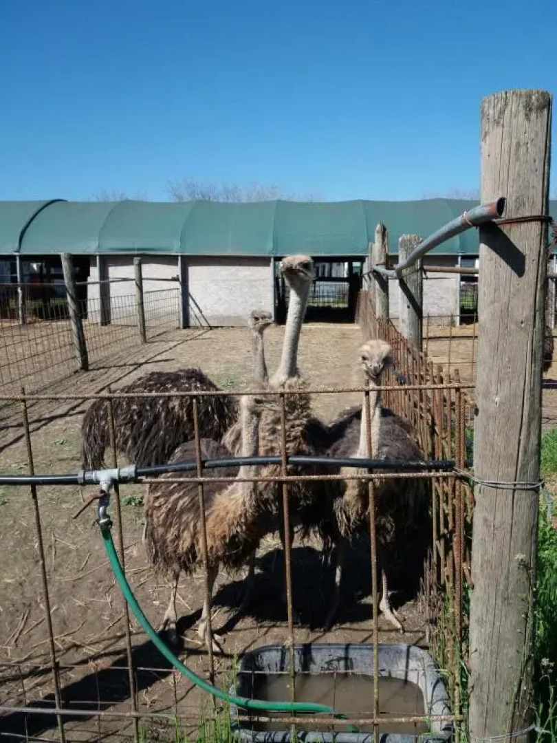 Agriturismo Antiche Mura