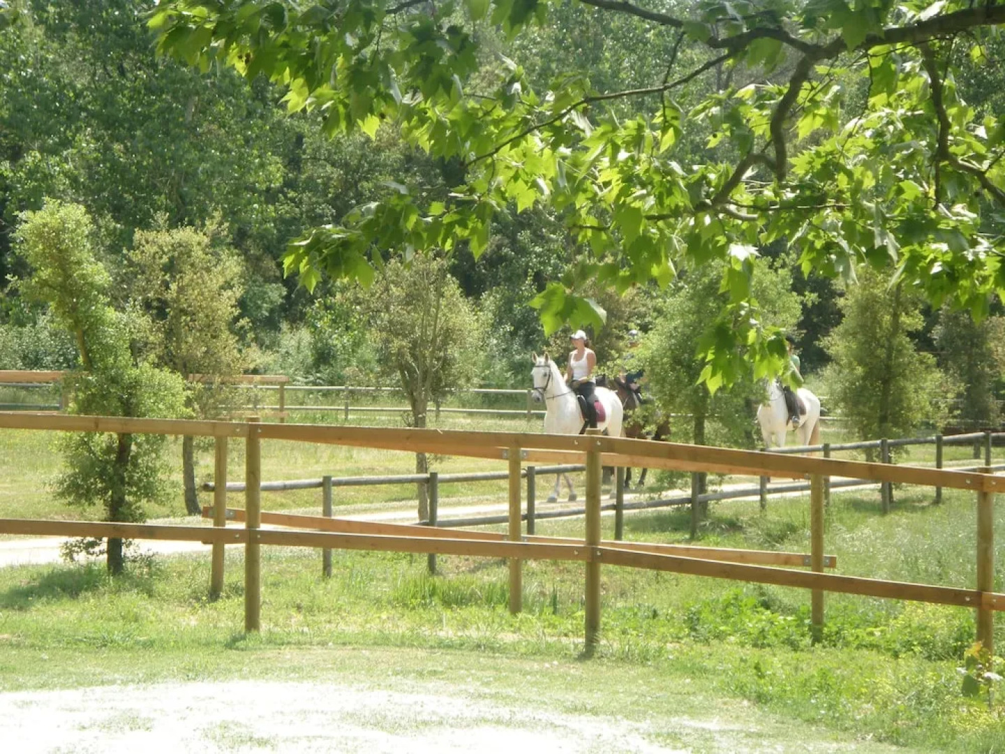 Hotel Mas Vilalonga Petit