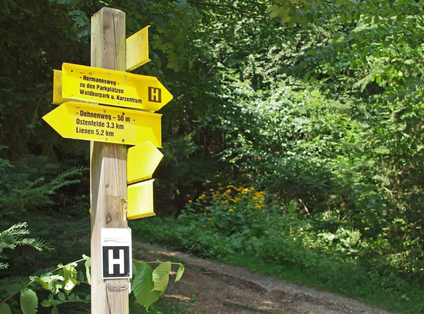 Waldhotel Felsenkeller