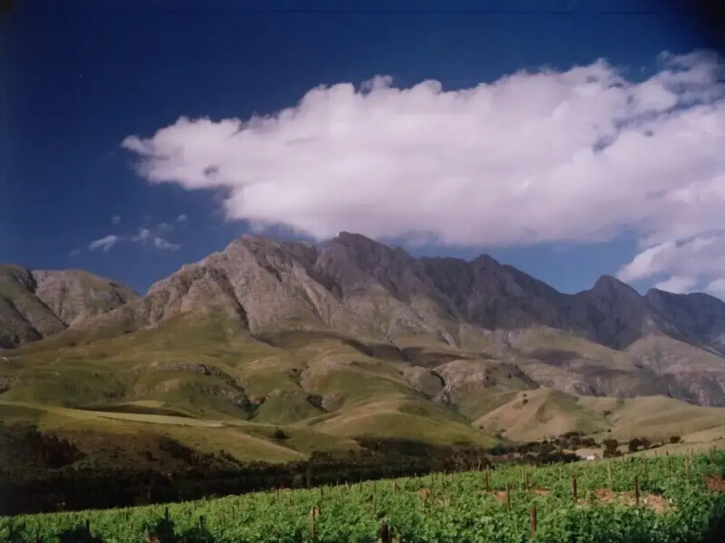 Swellendam Country Lodge