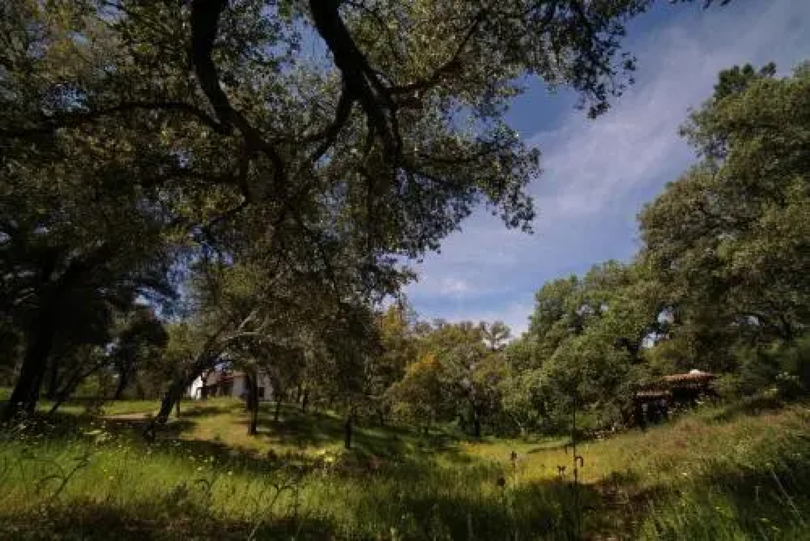 Valle del Arroyo Casas Rurales - Bed & Breakfast