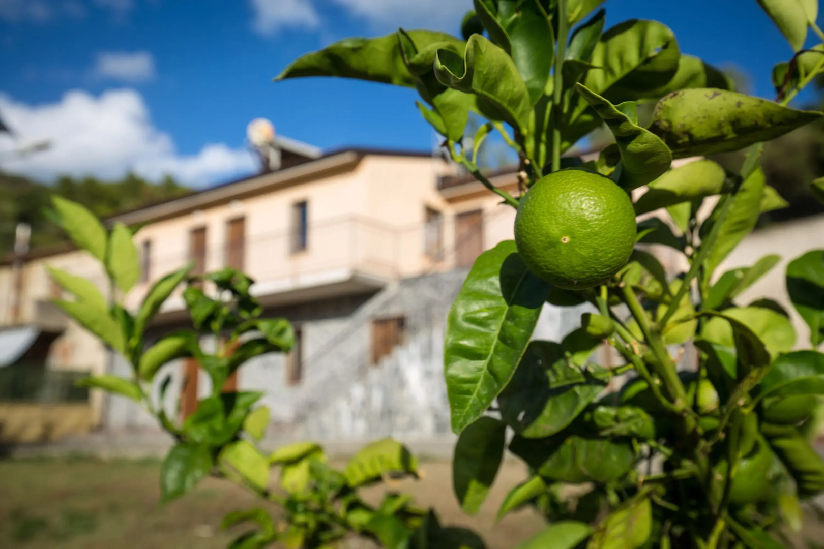 Agriturismo Il Sole