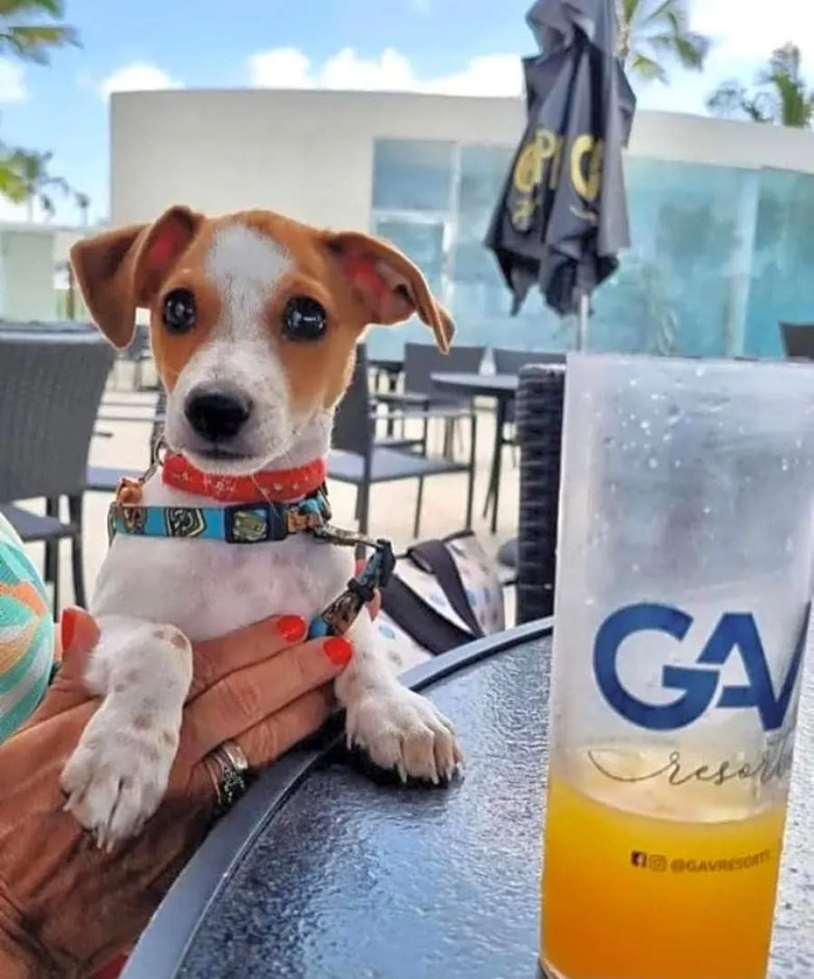 Apto Salinas Exclusive Resort, 2 quartos