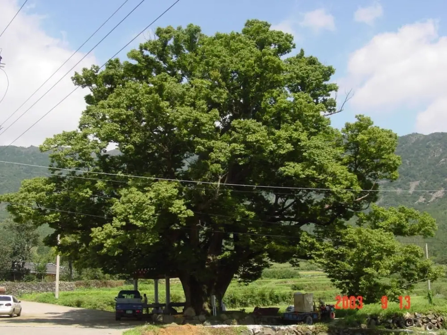 Full moon jangheung dalbawi pension