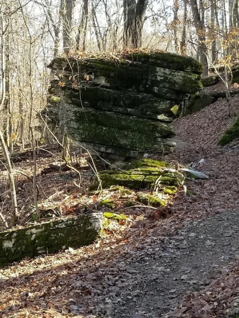 The Country Inn of Eureka Springs