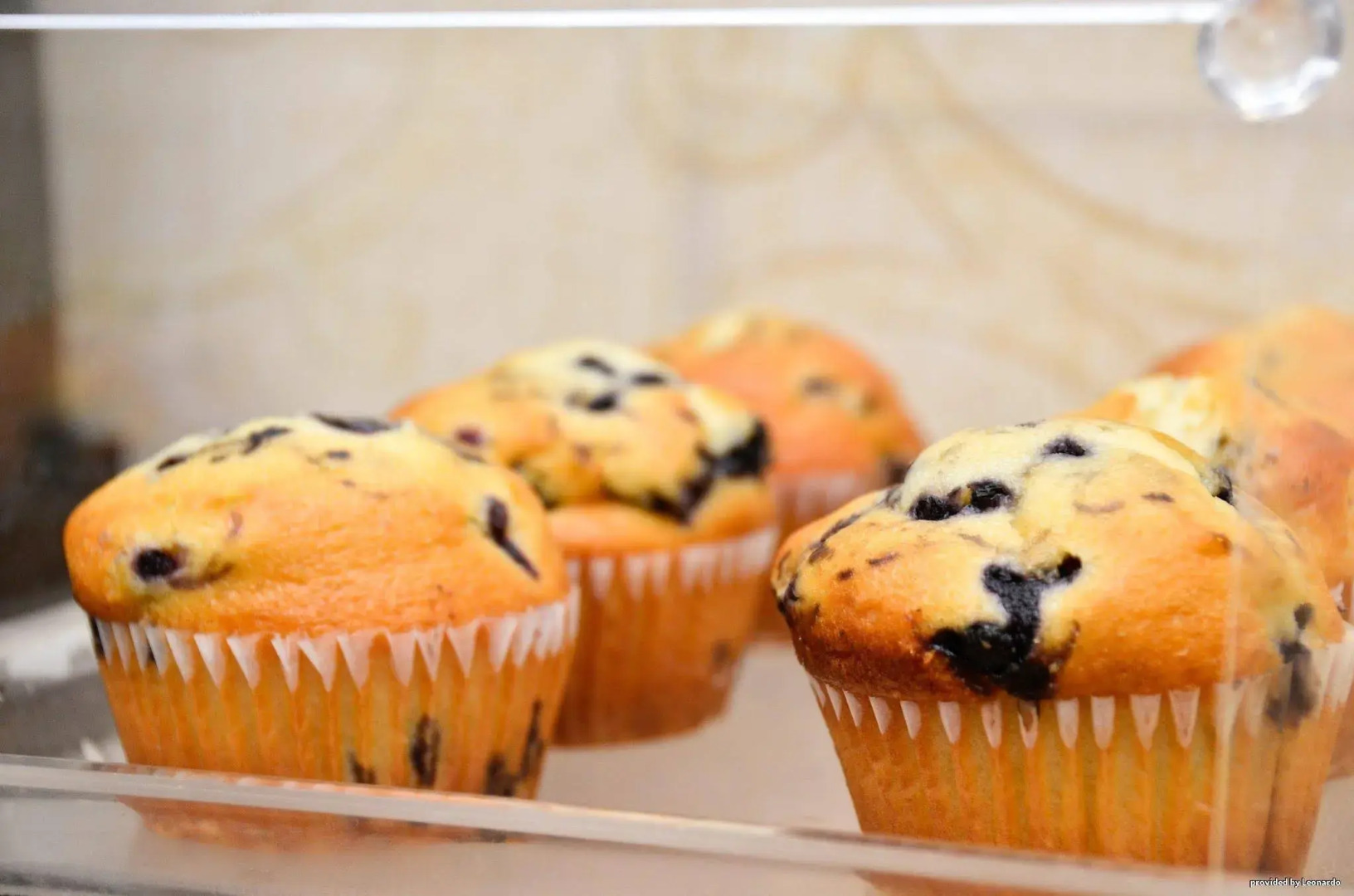 Best Western Plus University Inn