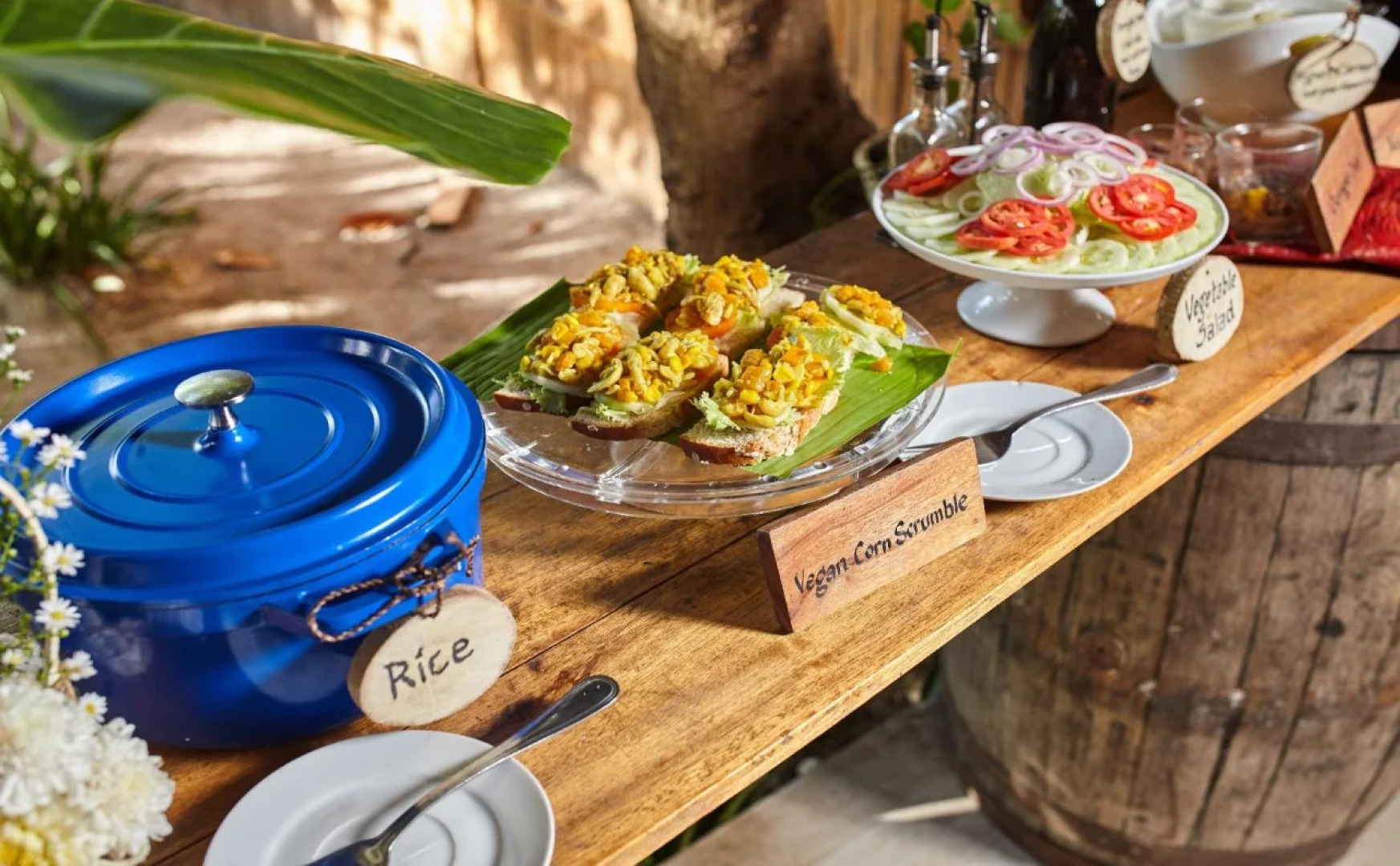 Buena Vida Resort and Spa