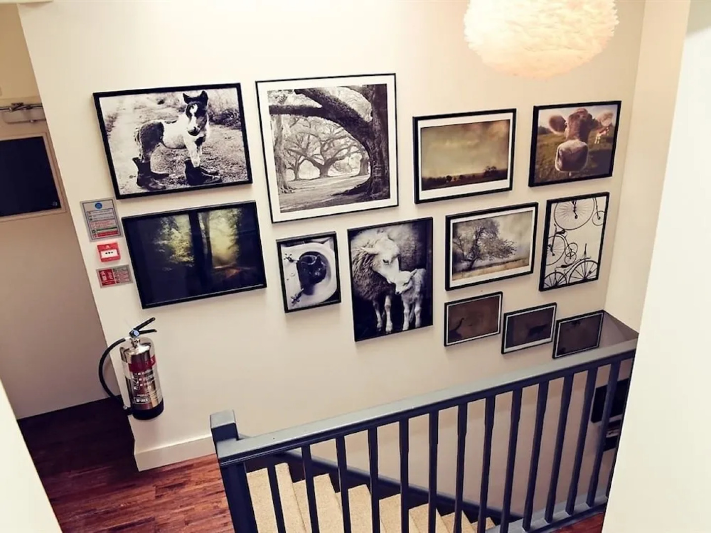 The Village Inn Buriton