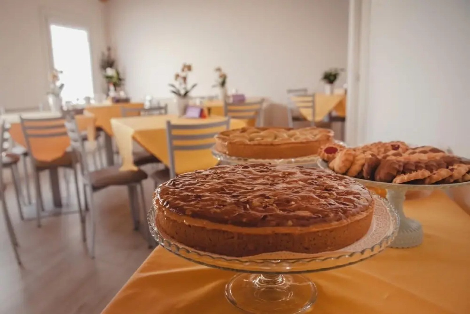 Terra Ferma Rooms & More