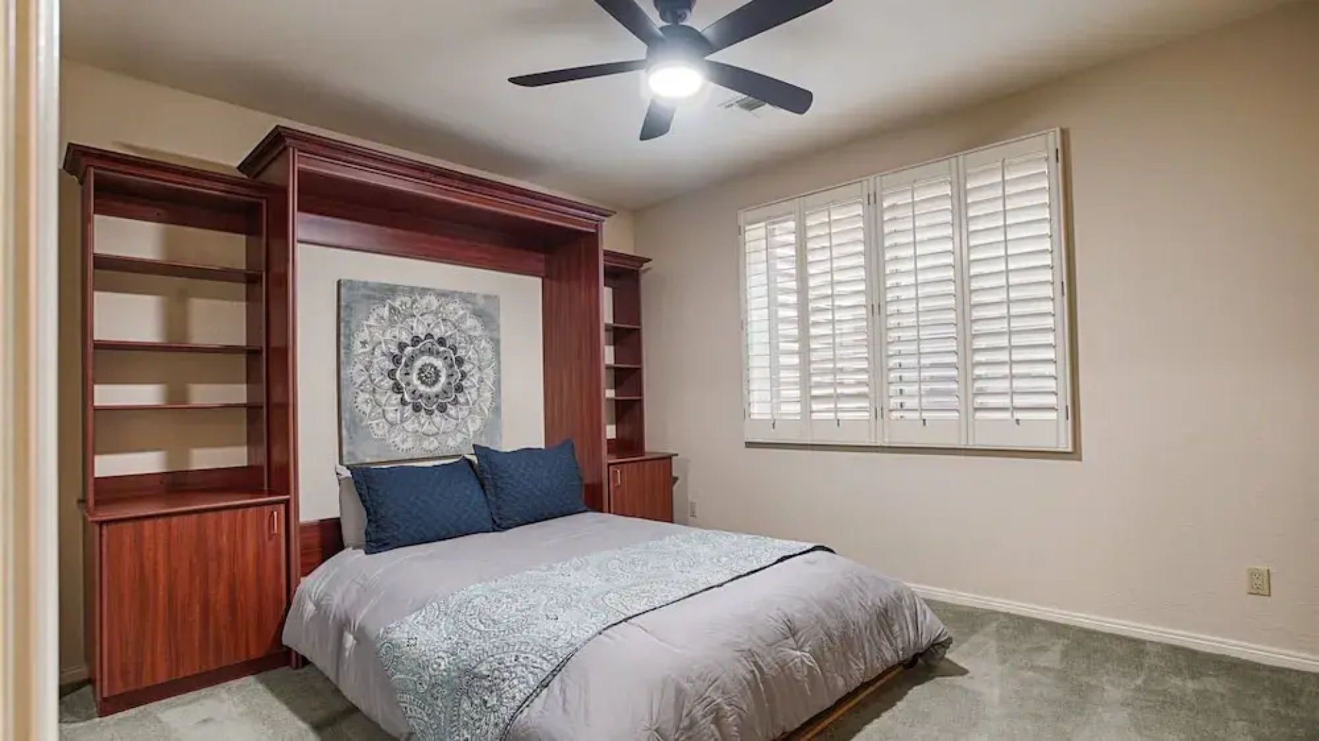 Lynx Chandler/ocotillo