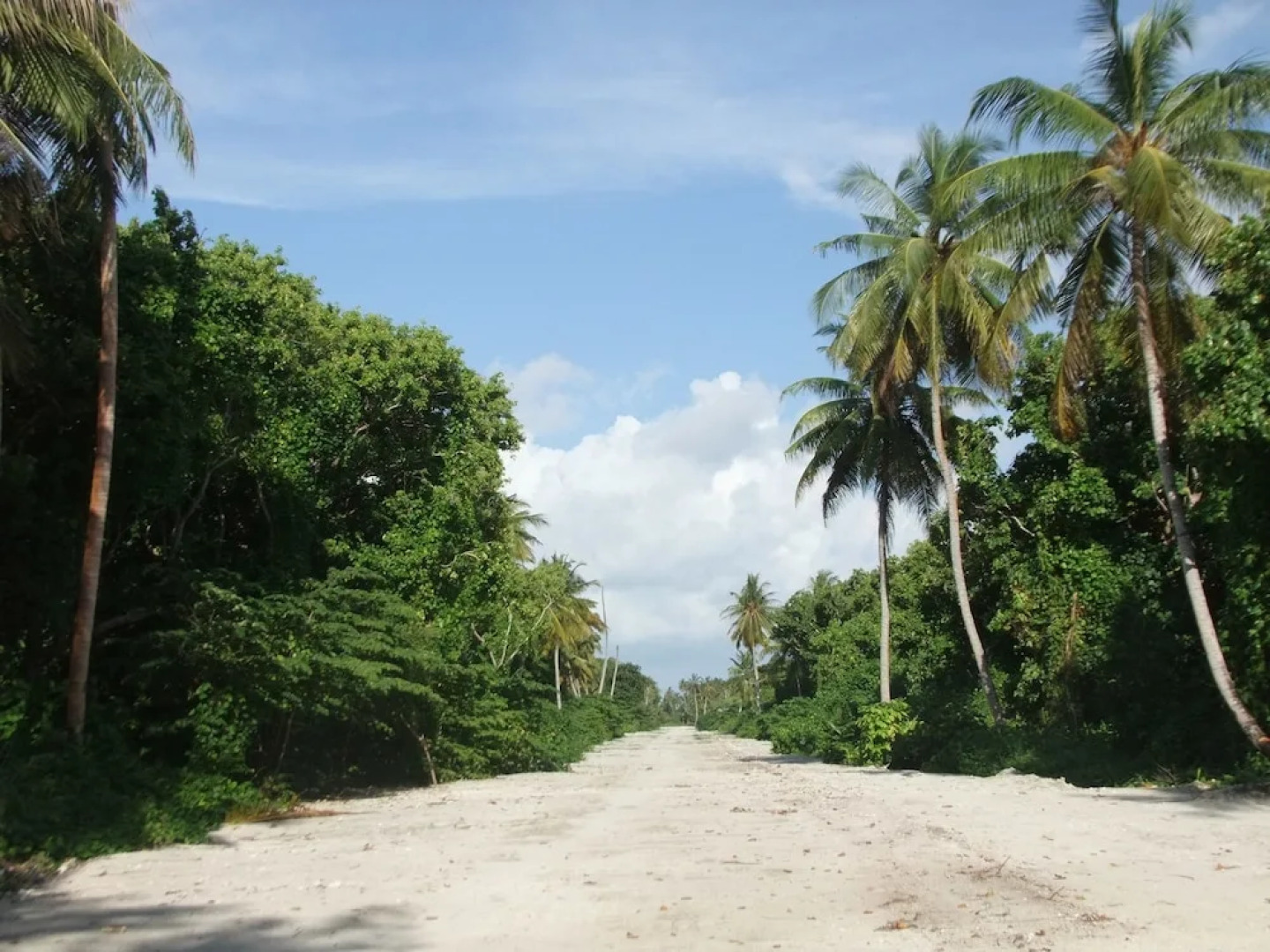 Serene Blue Bowls Surf Inn