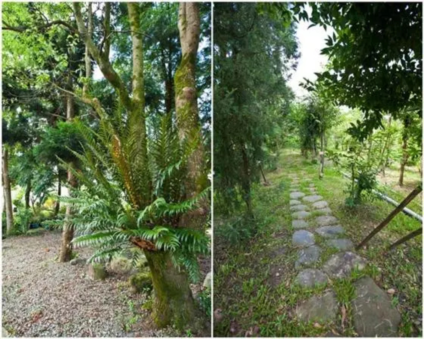 Mian-Nao Education Leisure Farm