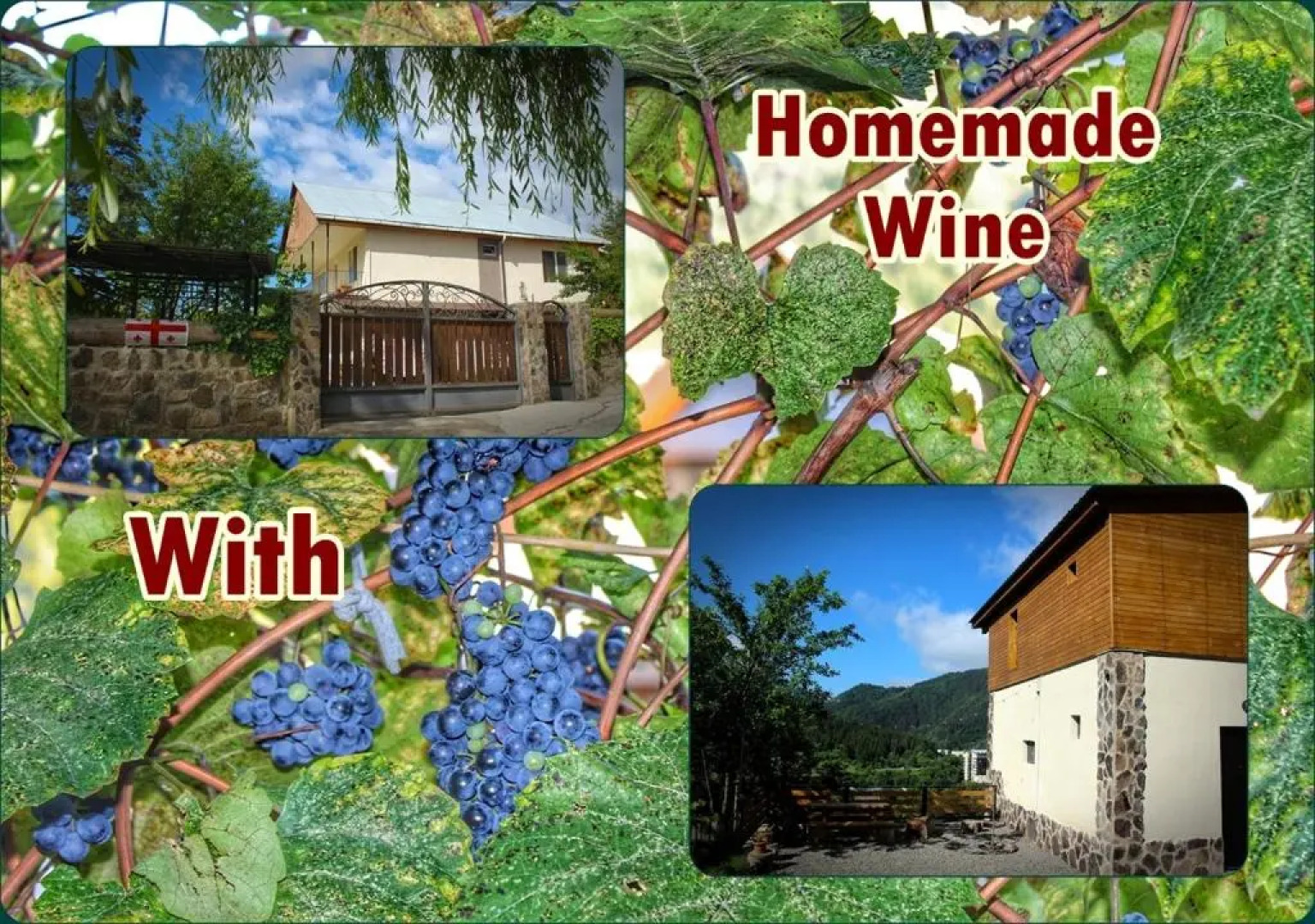 Guest House on Meskheti