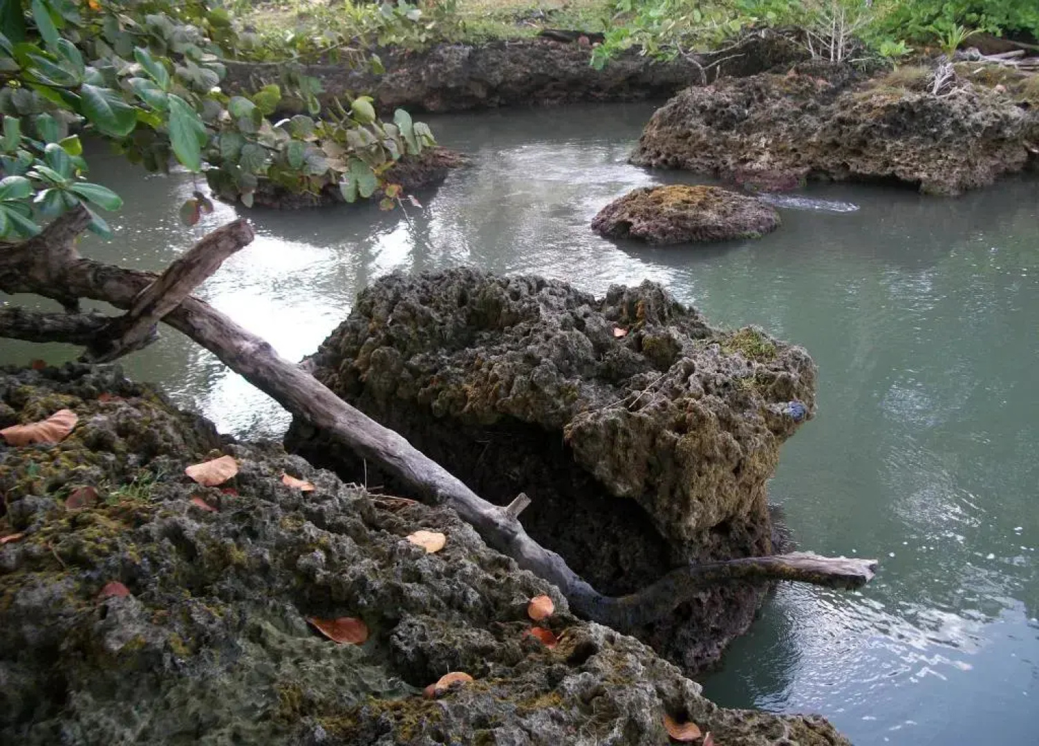Piscina Natural on the Sea