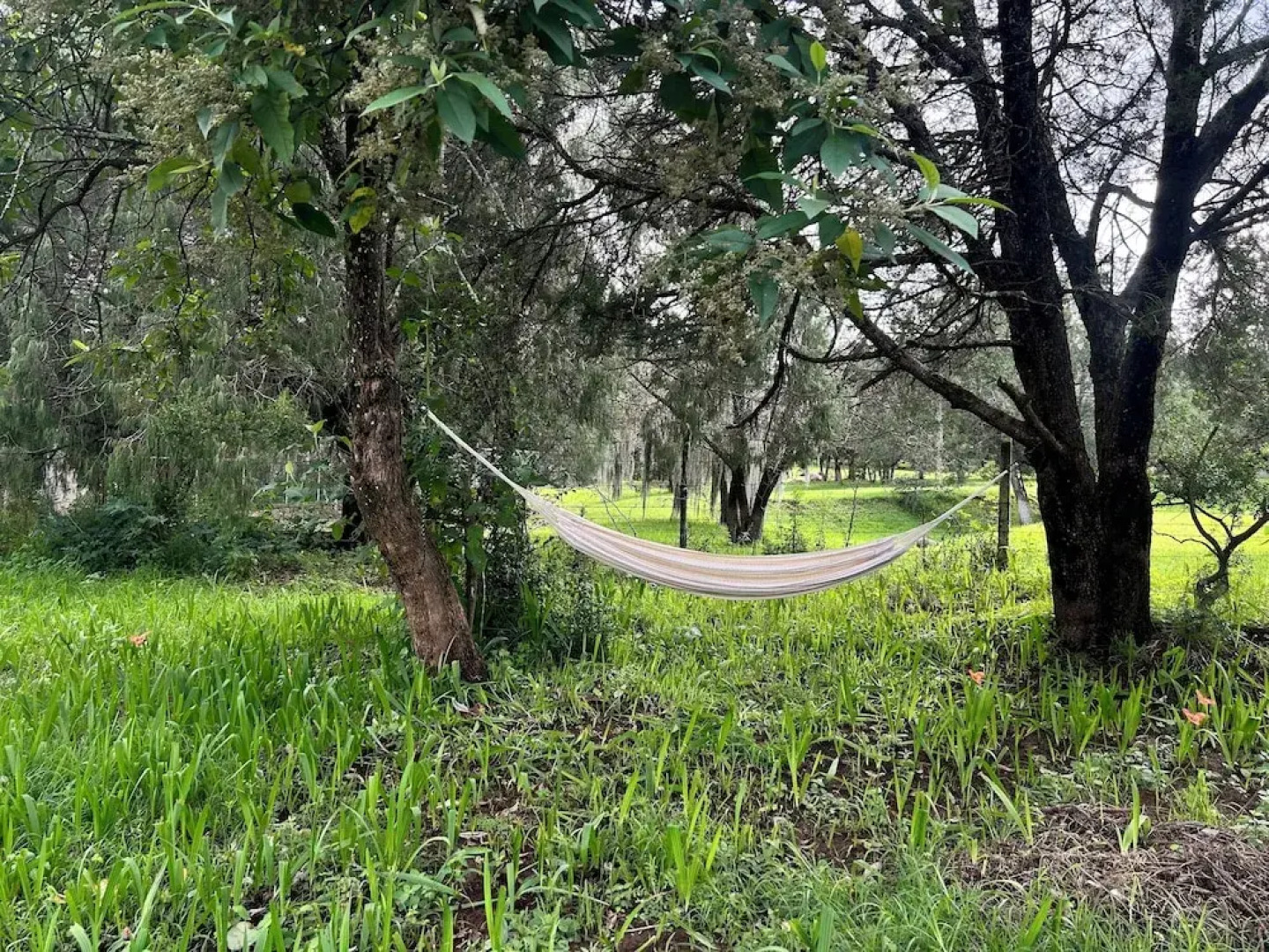 Cabañas La Victoria By GEstores