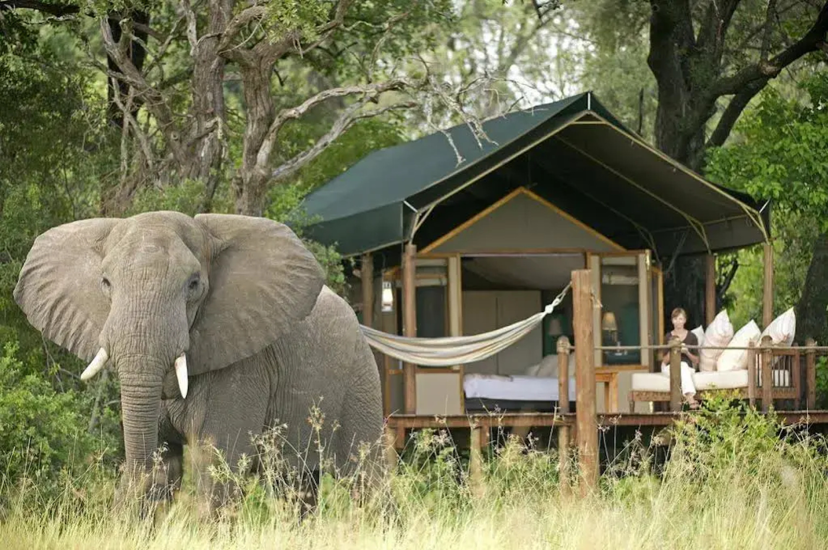 Sanctuary Stanley's Camp
