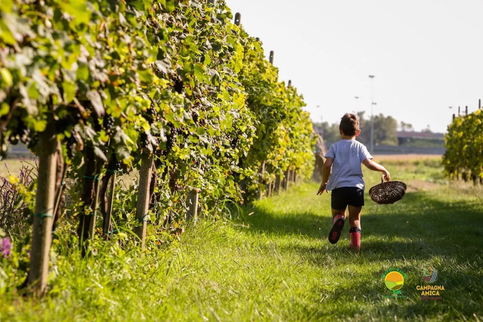 Agriturismo ai Carpini