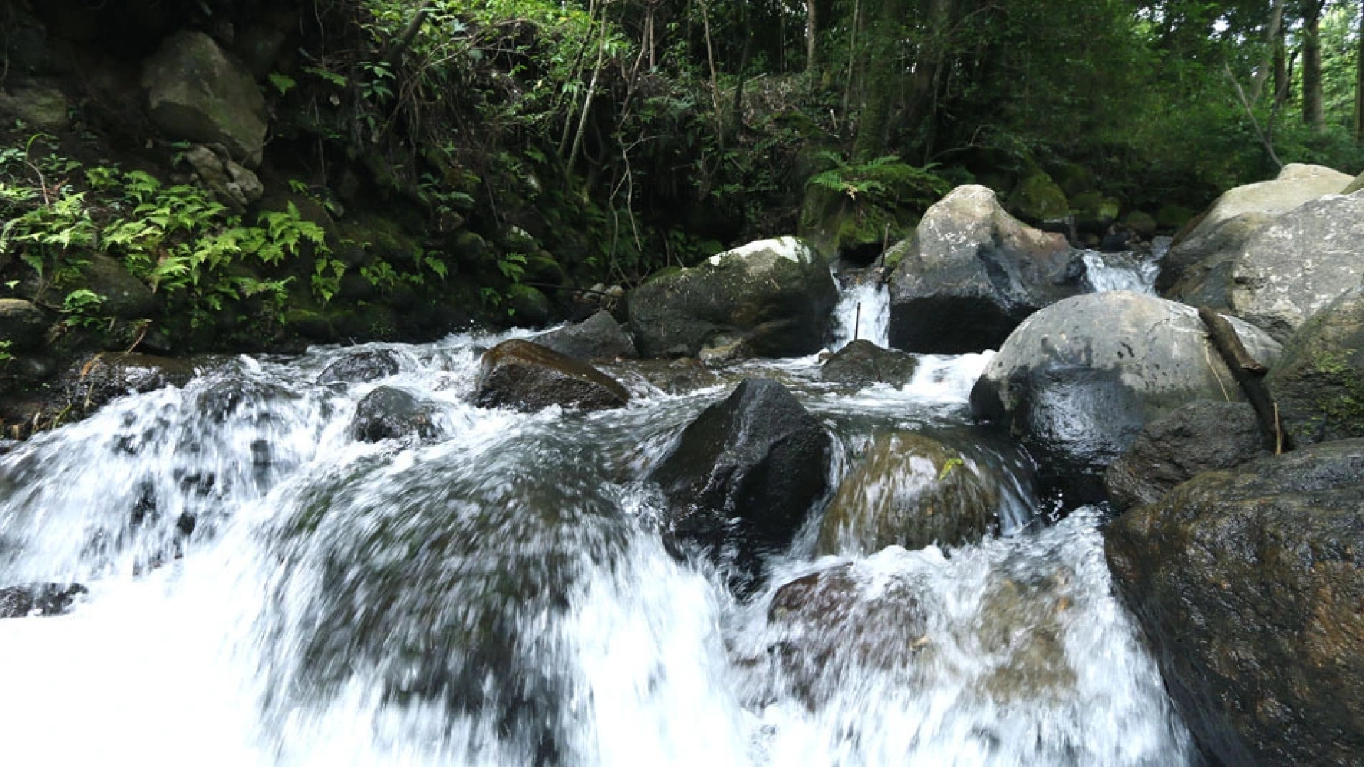 Minshuku Tozanguchi Onsen