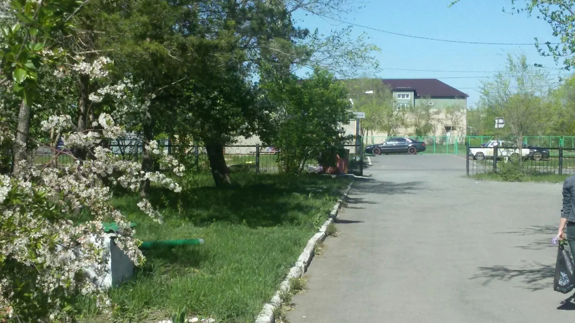Ромашка