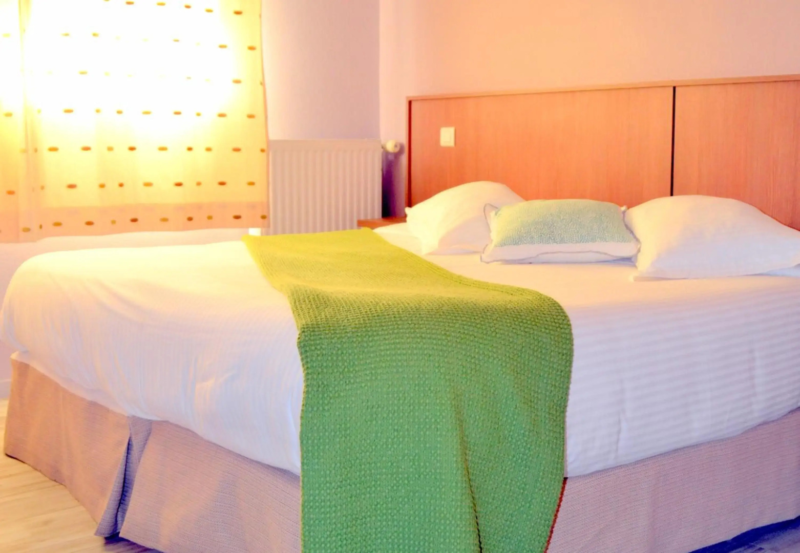 Hôtel CARRER Le Rhien