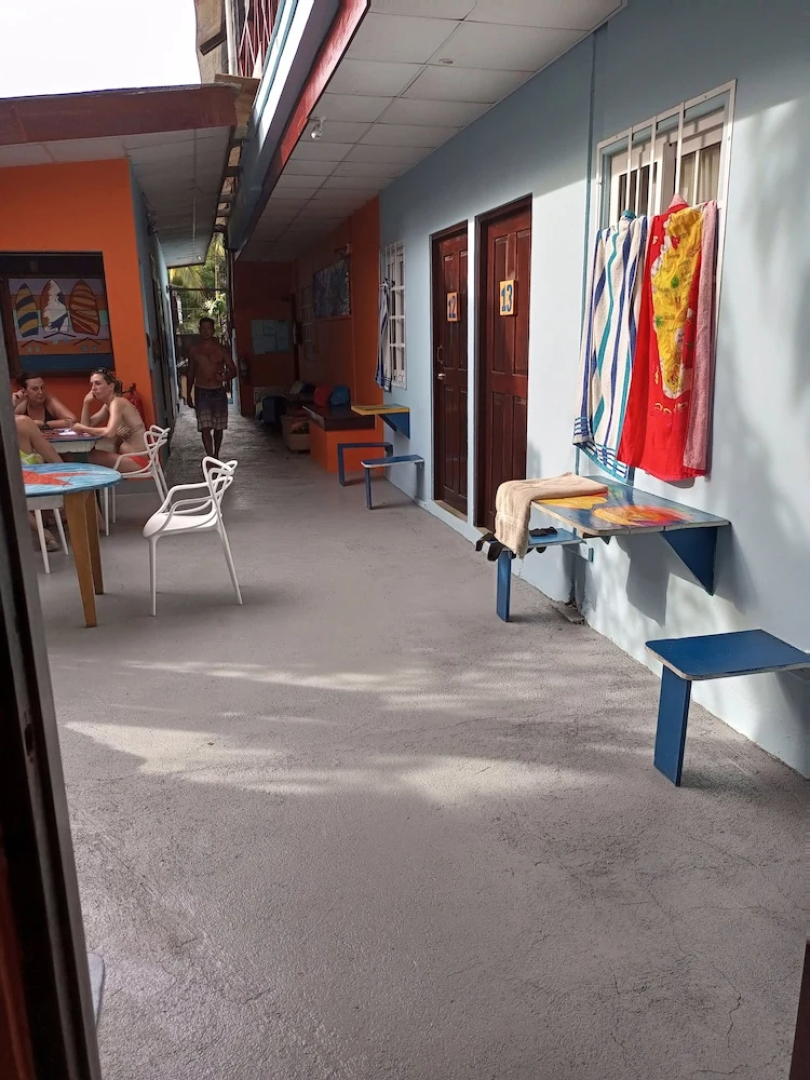 Surfari Bocas