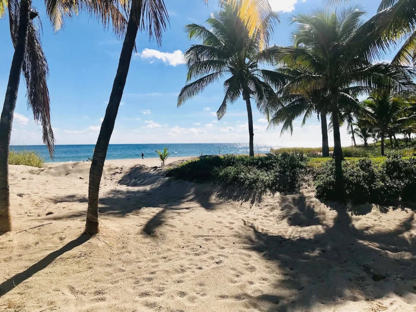 Ebb Tide Resort Oceanfront