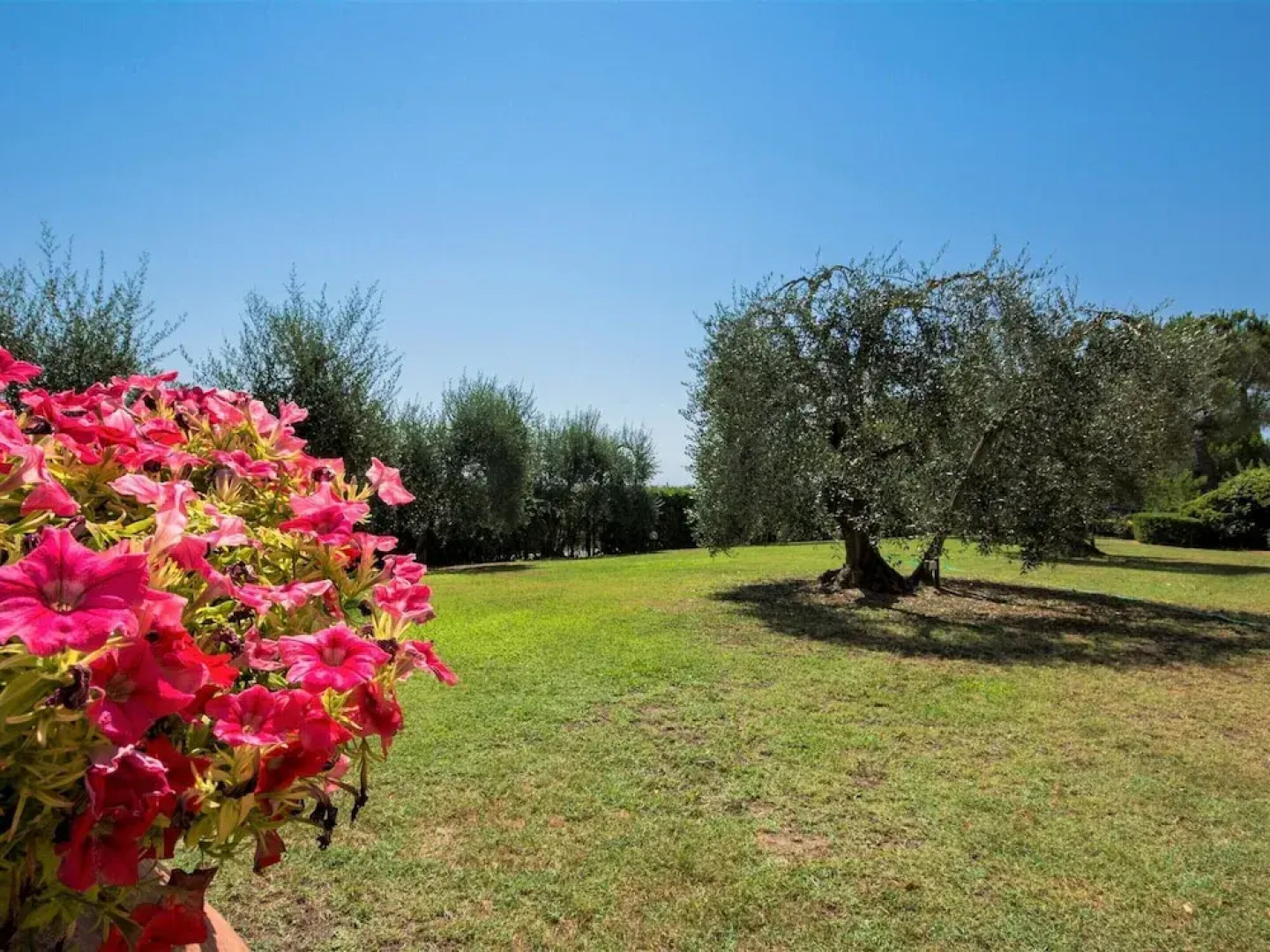 Countryside Home With Private Terrace