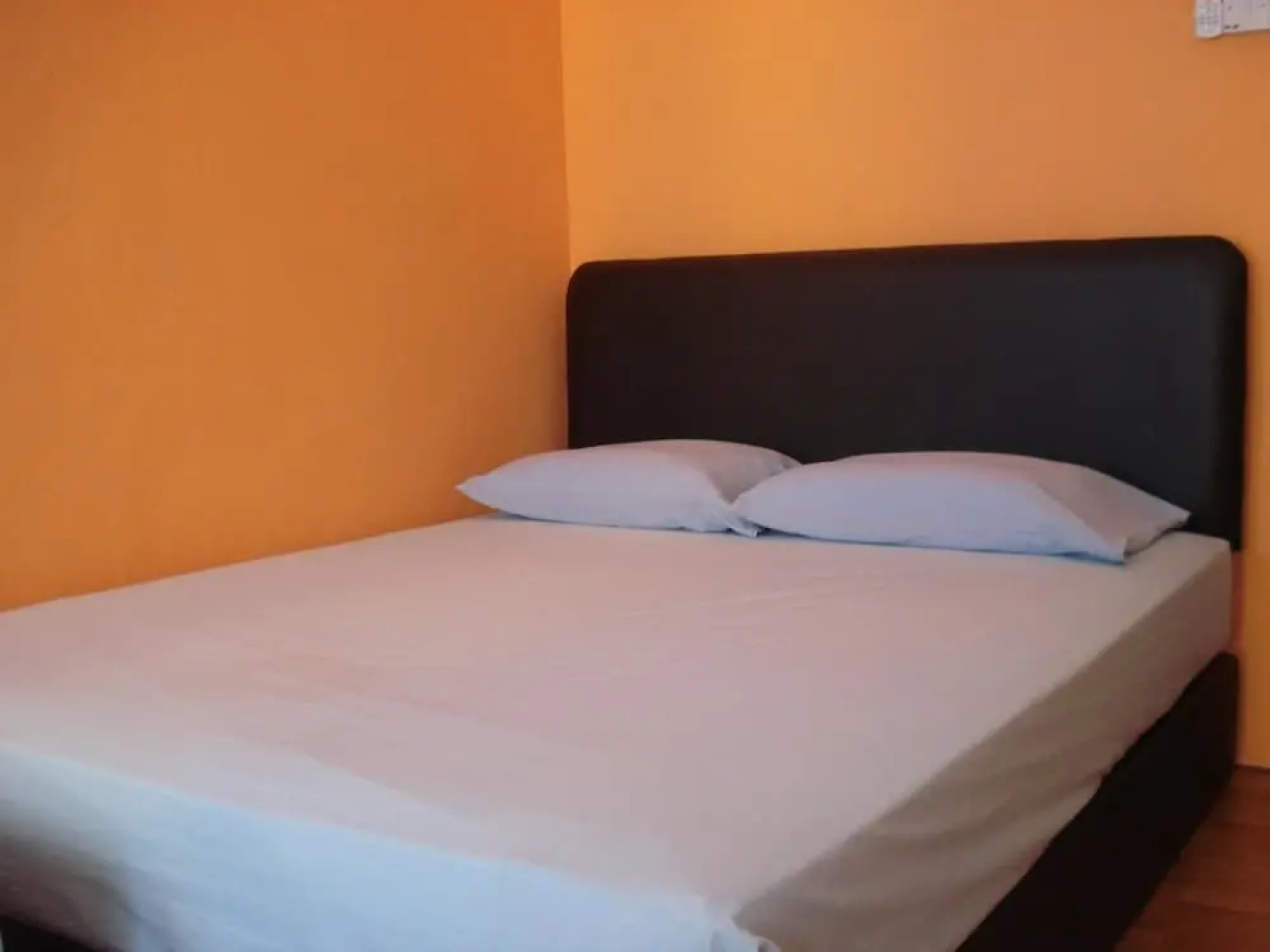 Harbourside Backpackers - Hostel