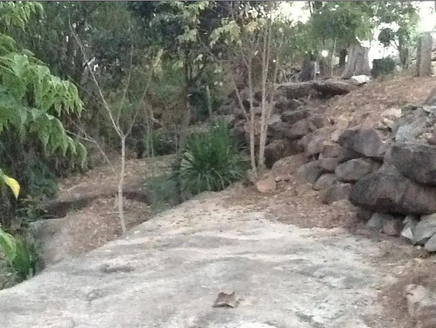Country View Resort