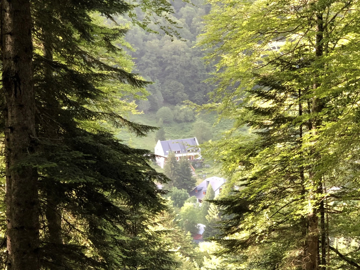 Le Refuge de L'isard