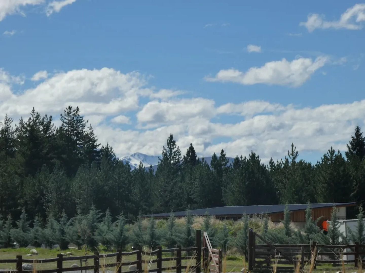 Family Gathering at Harris