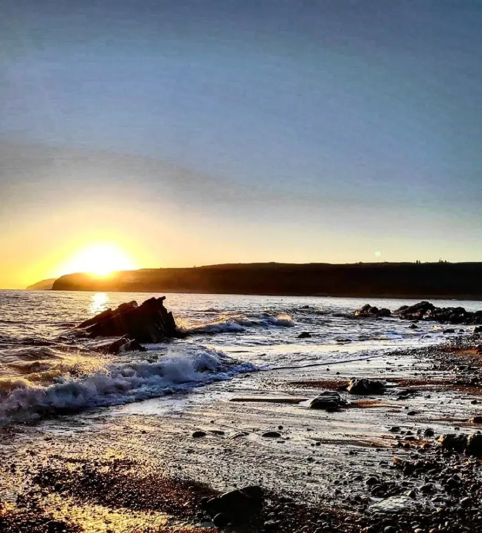 Bespoke Hand Built Shepherds Hut in Dunbeath