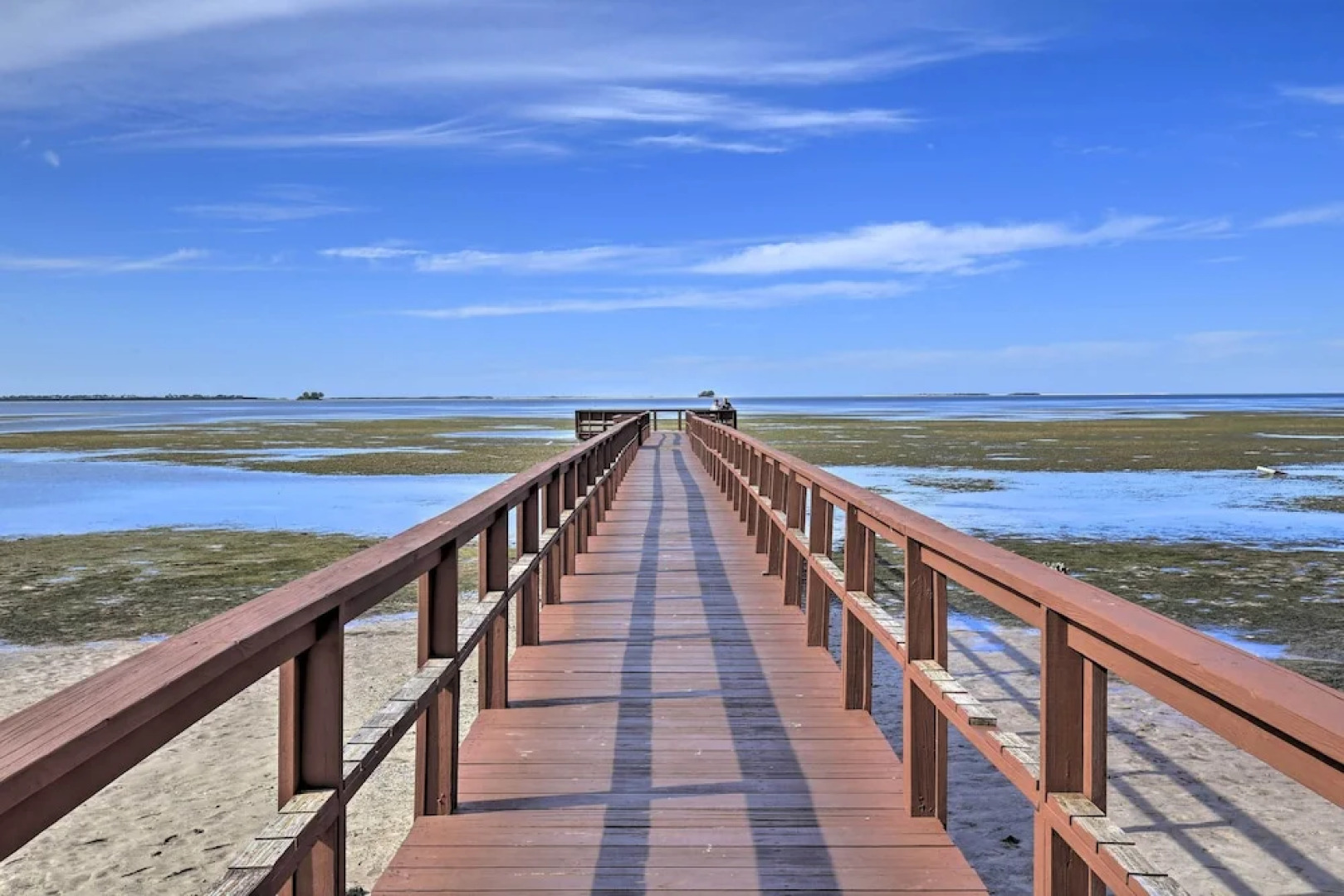 Beachy Palm Harbor Escape: Swim Spa Pool & Gazebo